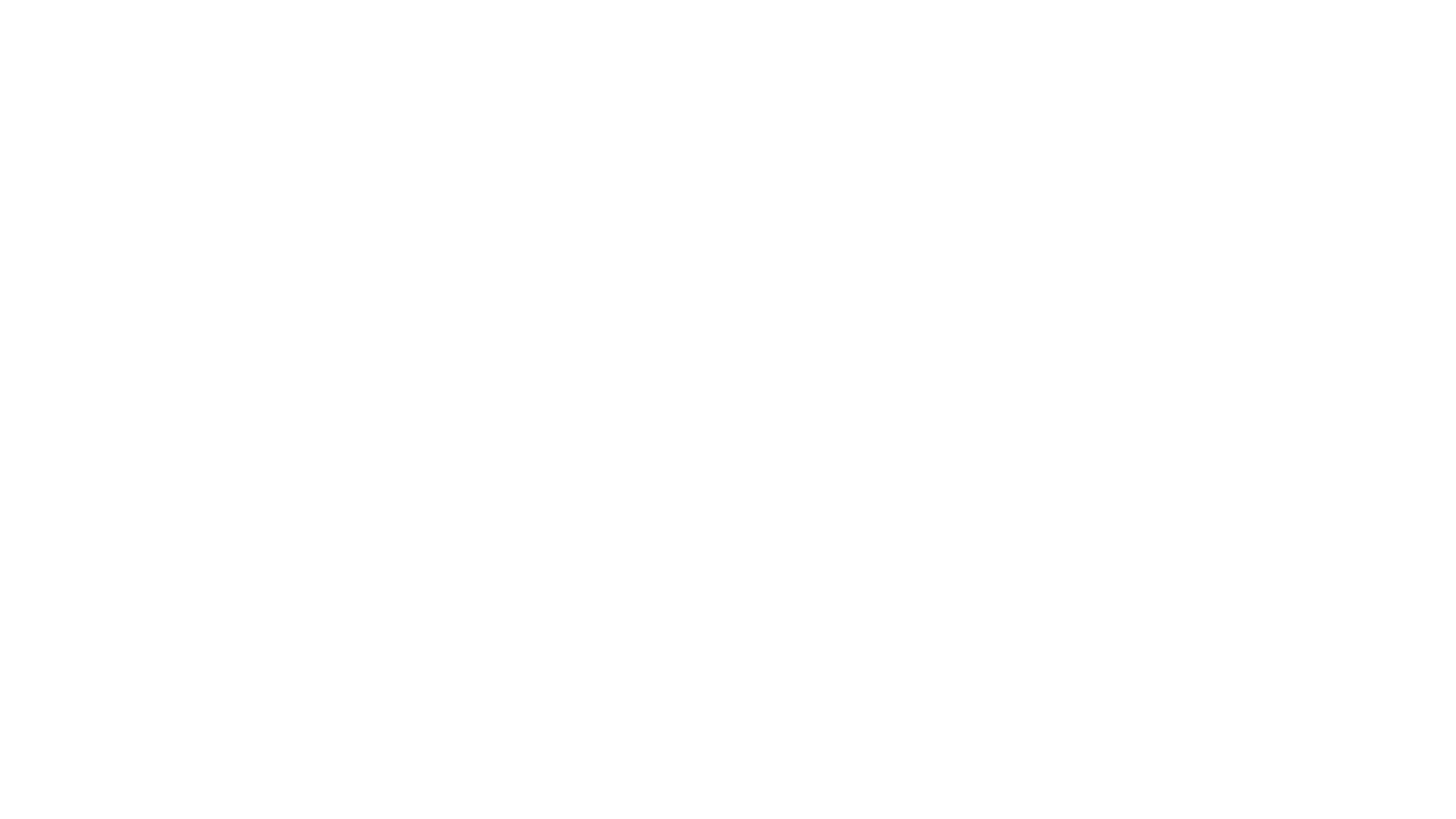 VB Experience  (Copy)